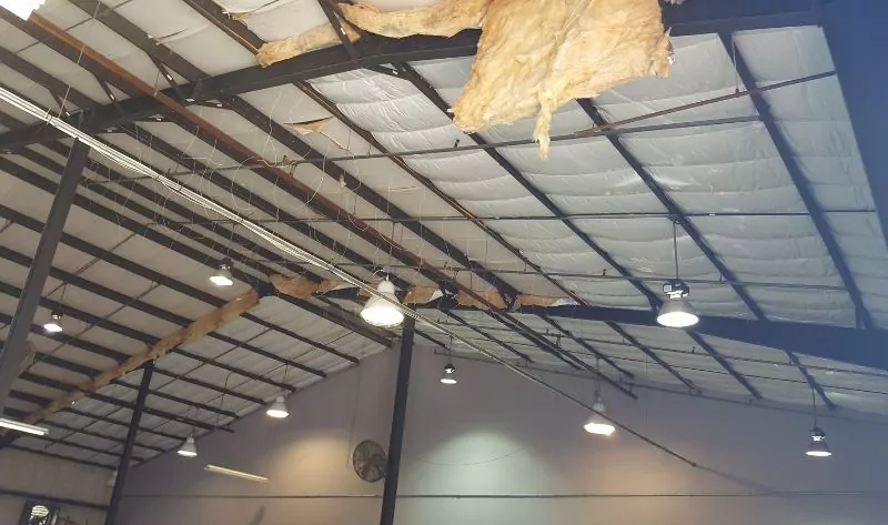 Metal Building Insulation for Florida's Climate